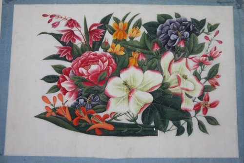 Album of Ten Chinese Botanical Gouache Paintings on Pith Paper