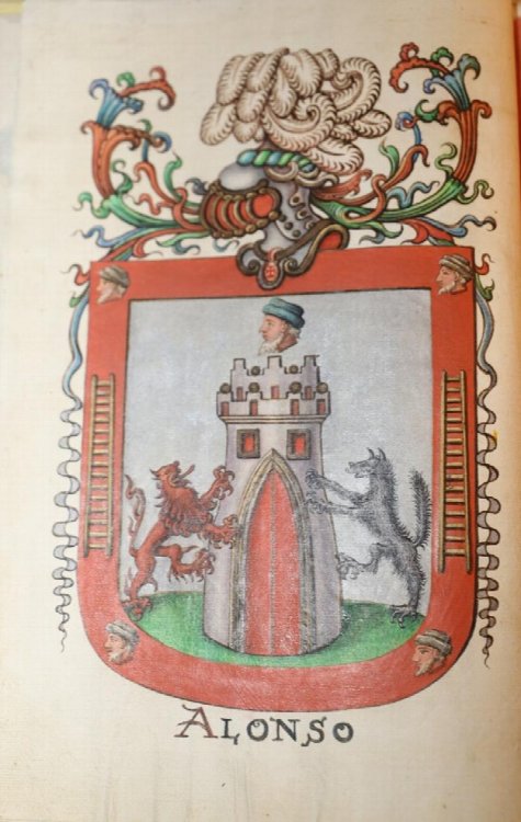 [Genealogical and Heraldic Manuscript] Timbre Escudo de Armas y Nobleza delos Apellidos de D. Fran.co. Alonso, .