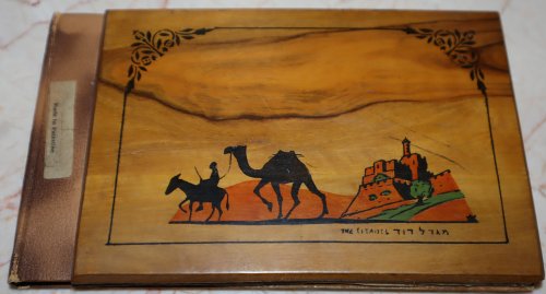 Flowers and Views of the Holy Land. Fleurs et Vues de la Terre Sainte