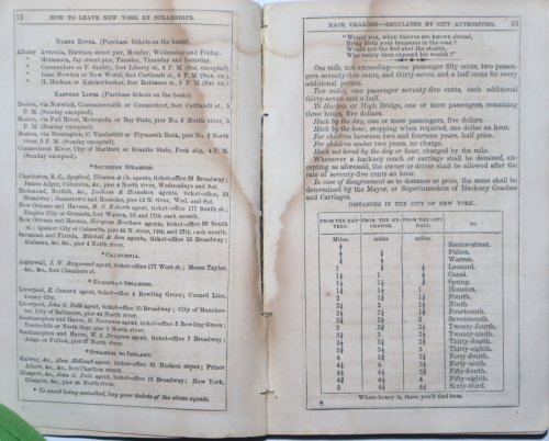 Carroll's New-York City Directory. To the Hotels of Note, Places of Amusement, Public Buildings, . . . Also, the the Leading Mercantile Firms . .