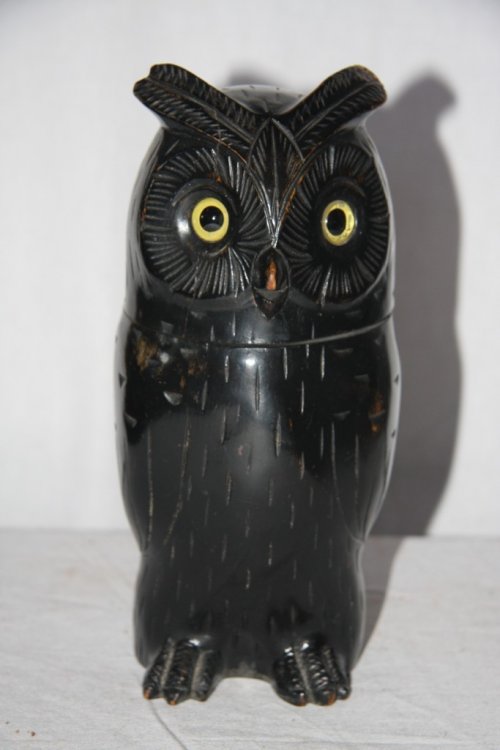 Owl Humidor