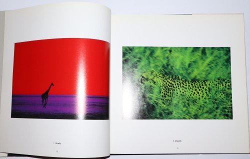 Pete Turner Photographs