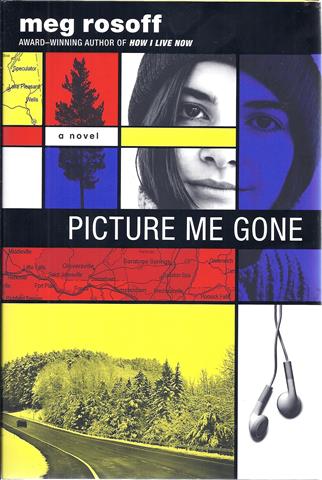 Picture Me Gone