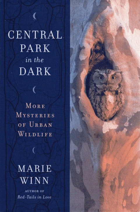 Central Park in the Dark: More Mysteries of Urban Wildlife