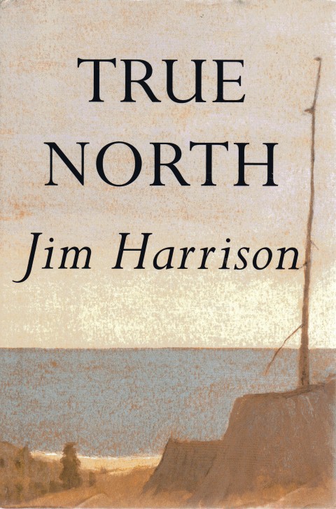 True North