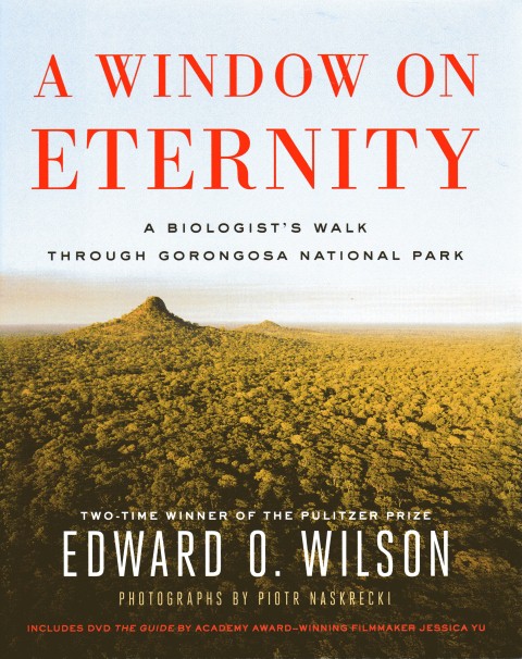 A Window on Eternity