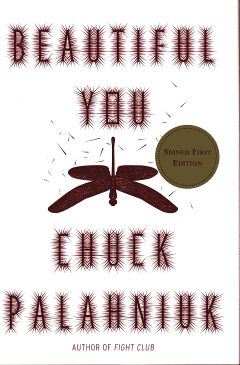 Beautiful You: A Novel