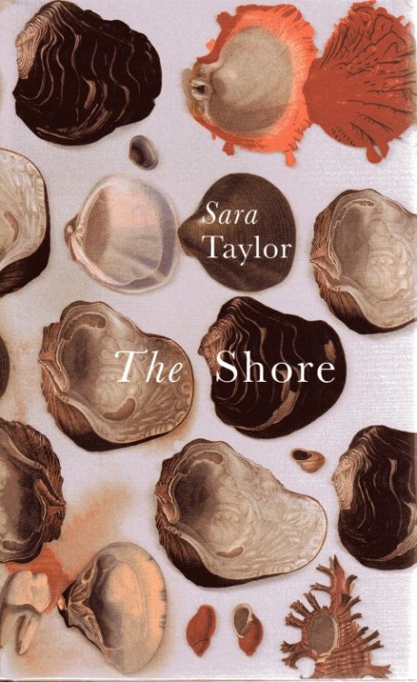 The Shore