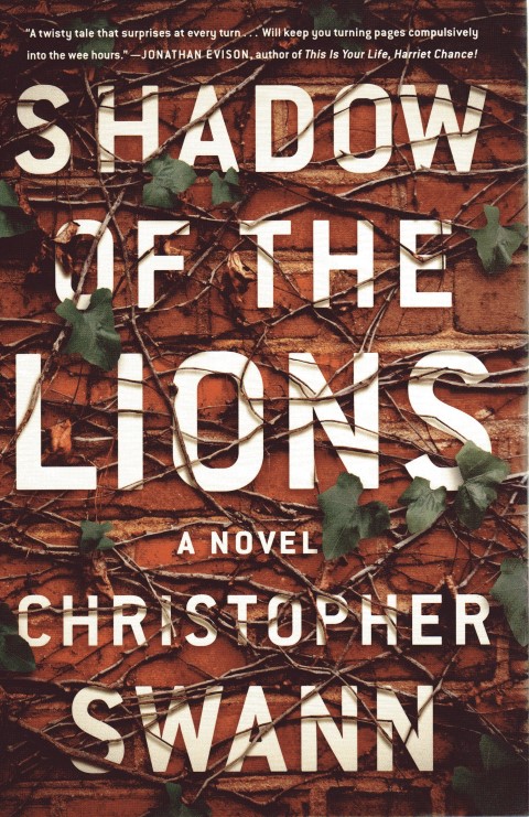 Shadow of the Lions