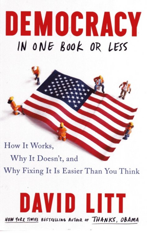 Democracy in One Book or Less