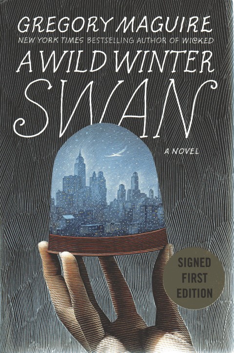 A Wild Winter Swan