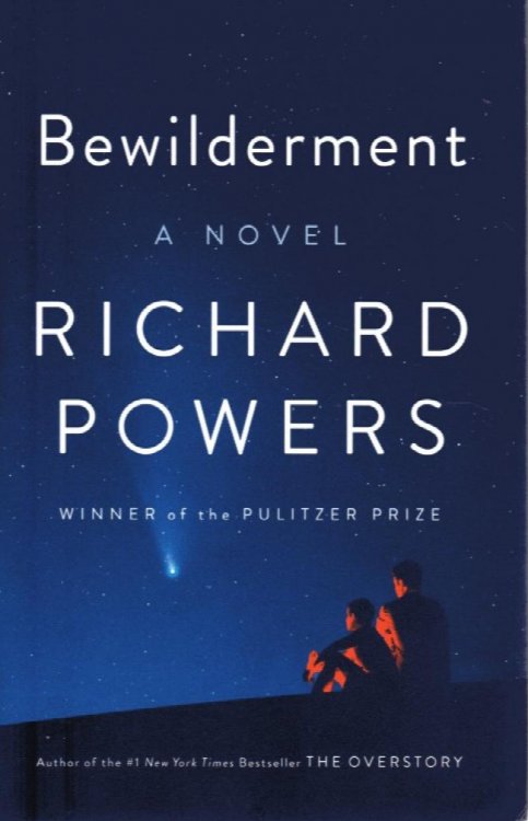 Bewilderment