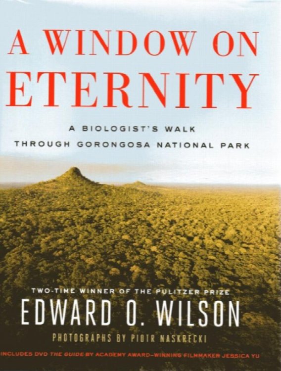 A Window on Eternity