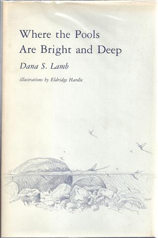 Where the Pools Are Bright and Deep