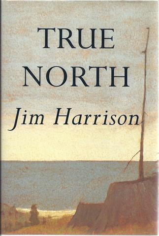 True North