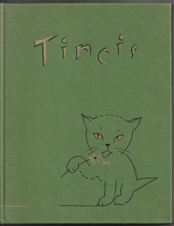 Tincis Kaku Skolas Skolotaja Celojums Pa Latviju