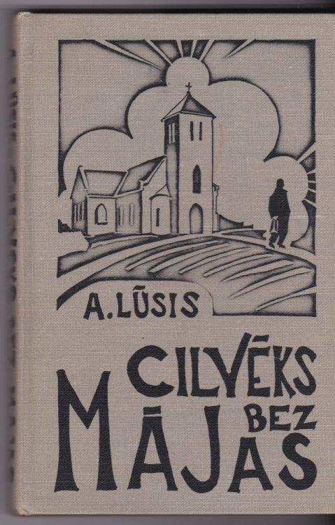 Cilveks Bez Majas Macitajs Beglu Gaitas