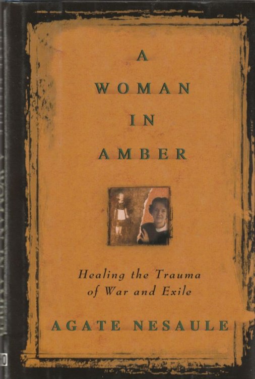 A Woman In Amber Healing The Trauma Of War In Exile