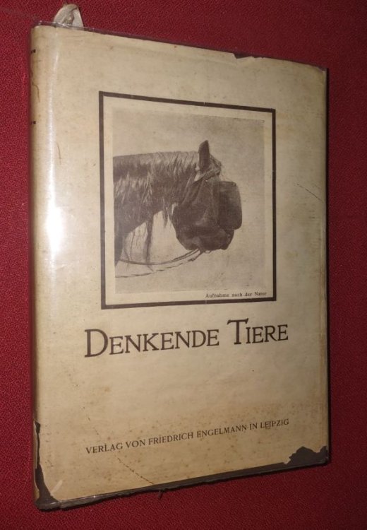 DENKENDE TIERE - Beitrage zur Tierseelenkunde auf Grund eigener Versuche. Der Kluge Hans und Meine Pferde Muhamed und Zarif [trans: THINKING ANIMALS - Contributions to Animal Psychology based on our own Experiments. Smart Hans and my Horses Muhamed and Zarif]