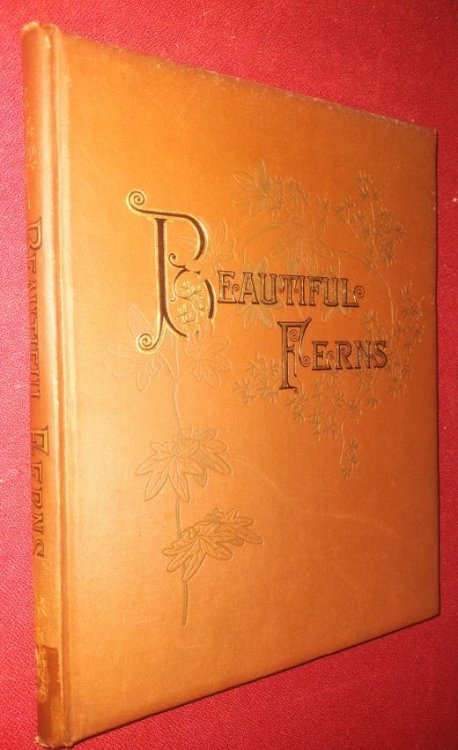 Beautiful Ferns from Original Water-Color Drawings after Nature by C. E. Fanon and J. H. Emerton