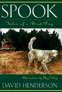 Spook; Tales of a Bird Dog