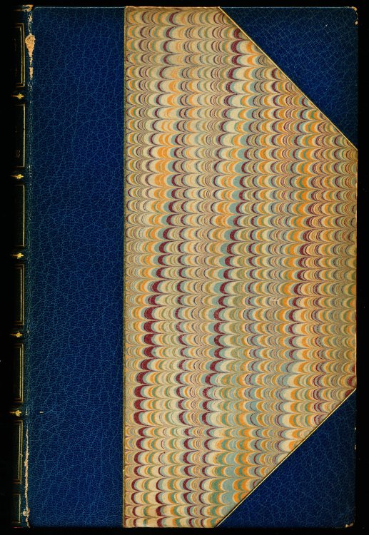 THE MARRIAGES OF THE BOURBONS, 2 Volumes