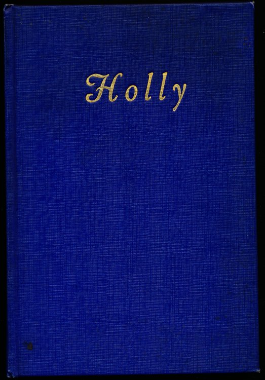 HOLLY, His Book. Being A Diary of the Great War. [Captain, Royal Air Force]