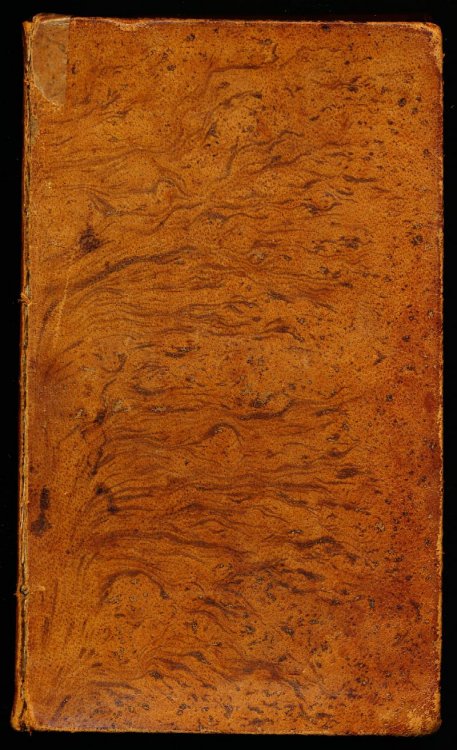 THE AMERICAN SPECTATOR or Matrimonial Preceptor, A Collection (with Additions and Variations) of Essays. Epistles, Precepts and Examples, Relating to the Married State, From the much celebrated Writers, Ancient and Modern. Adapted to the State of Society in the American Republic.