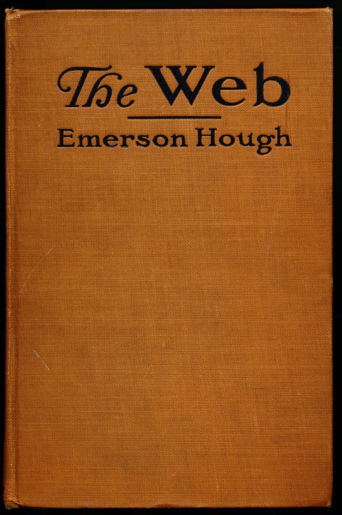 THE WEB. The Authorized History of the American Protective League.