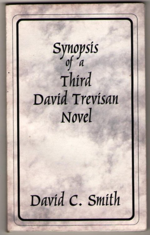 Synopsis of a Third David Trevisan Novel