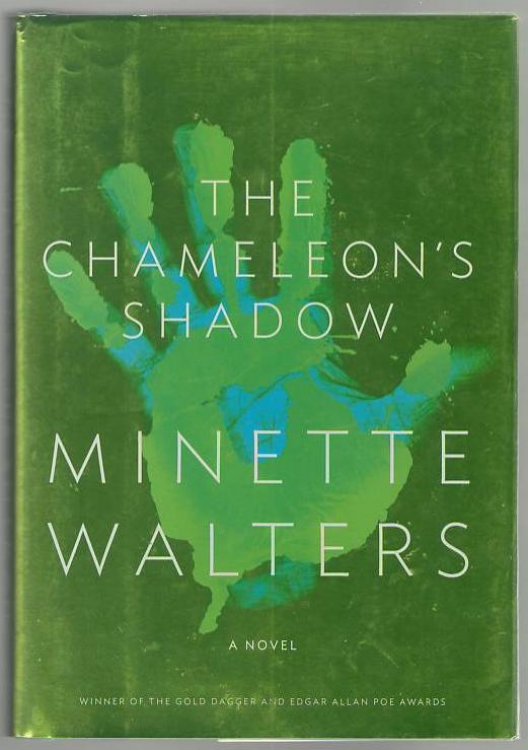 The Chameleon's Shadow