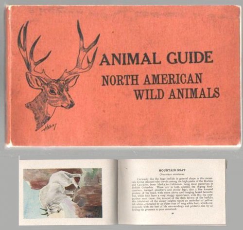 Animal Guide: North American Wild Animals