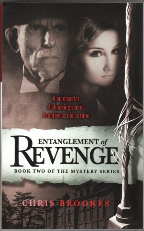 Entanglement of Revenge: Book Two of the Mystery Series