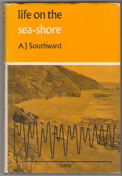 Life on the Sea Shore