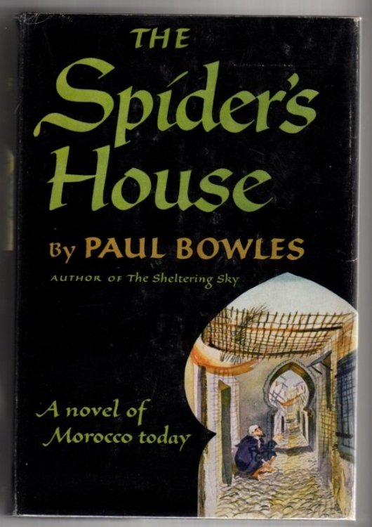 The Spider's House