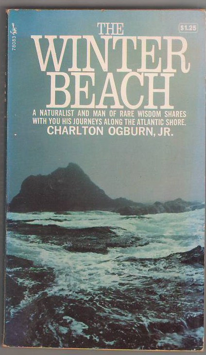 The Winter Beach