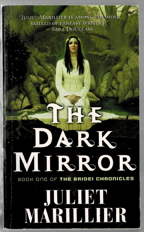 The Dark Mirror