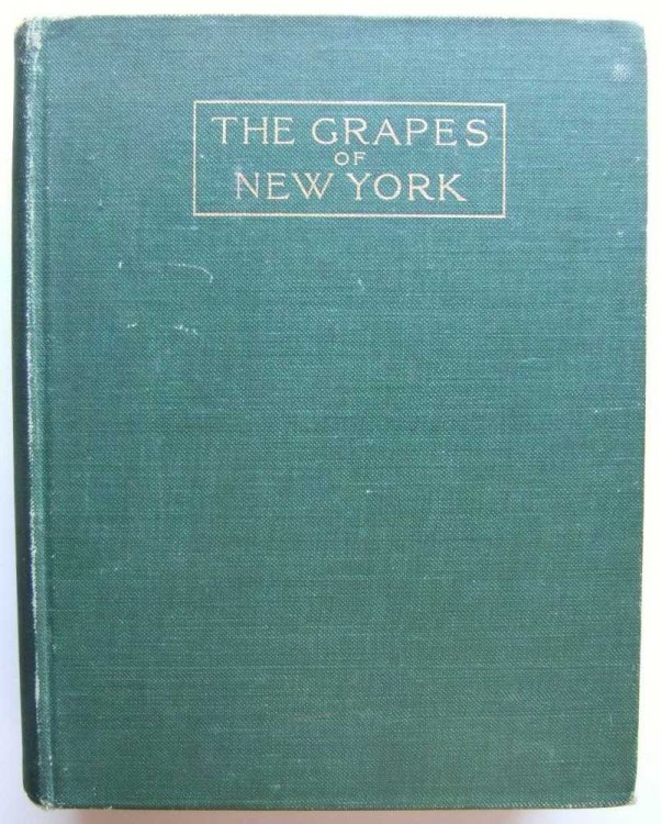 The Grapes of New York (State of New York - Department of Agriculture - Fifteenth Annual Report - Volume 3, Part II)
