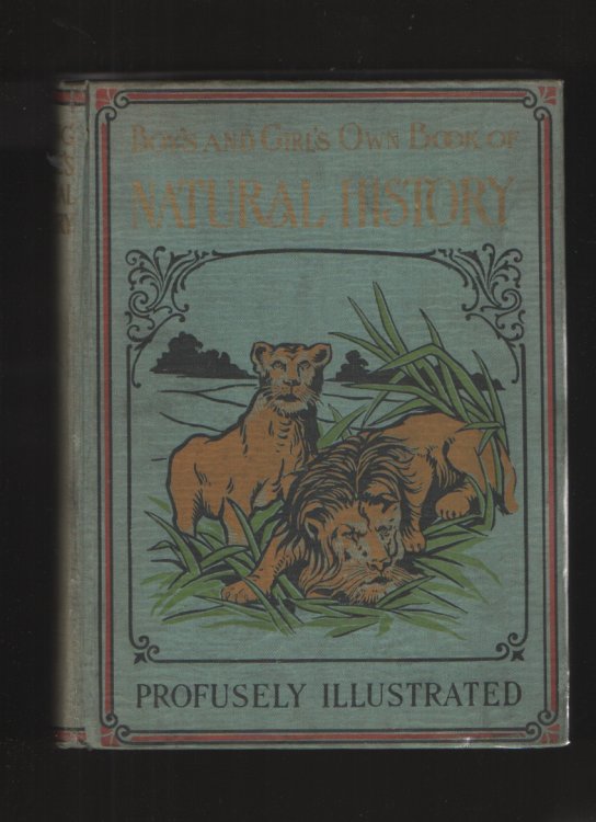 Boy's and Girl's Own Book of Natural History