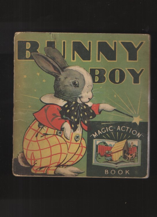 Bunny Boy (Magic Action Book)