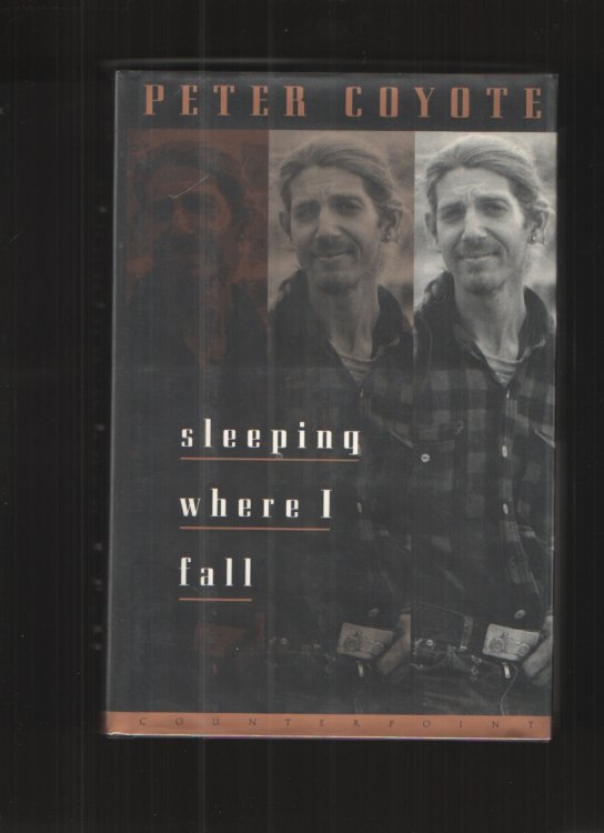 Sleeping Where I Fall A Chronicle