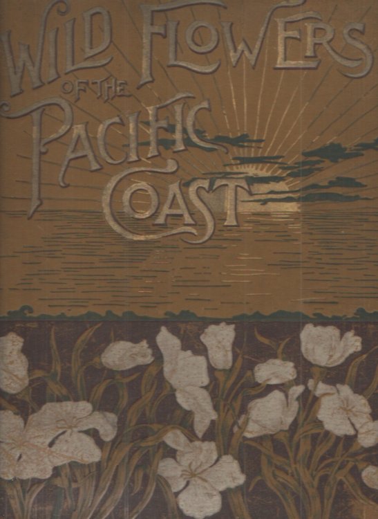 Wild Flowers of the Pacific Coast From the Original Water Color Sketches Drawn from Nature