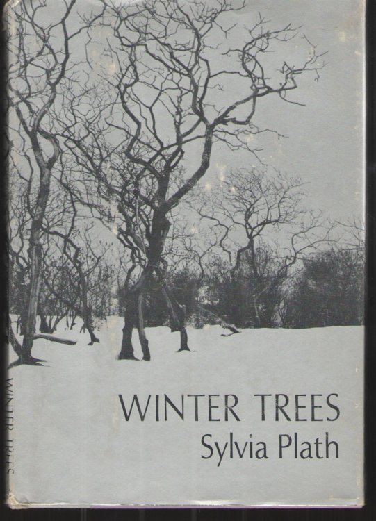 Winter Trees