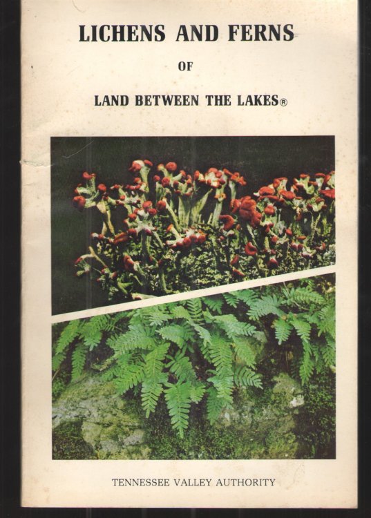 Lichens and Ferns of Land between the Lakes