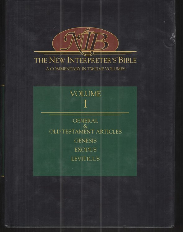The New Interpreter's Bible A Commentary in 12 Volumes