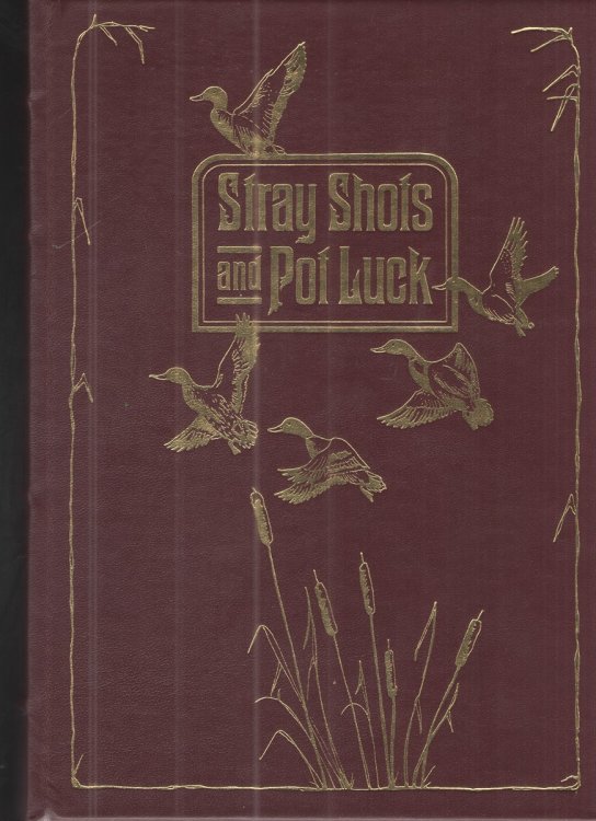 Stray Shots