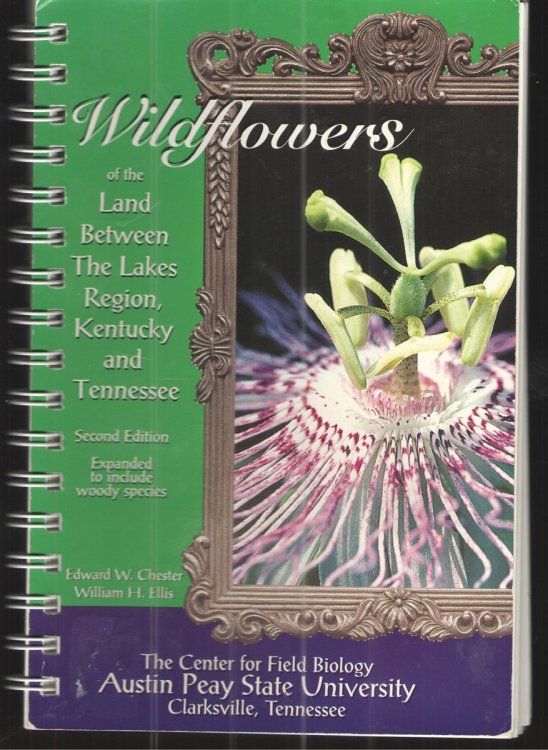 Wildflowers of the Land between the Lakes Region, Kentucky and Tennessee