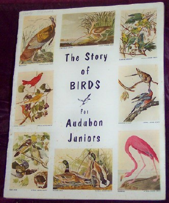 The Story of Birds for Audubon Juniors