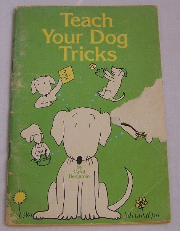 Teach Your Dog Tricks