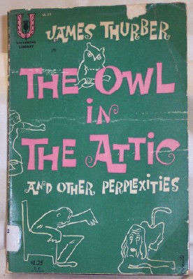 The Owl in the Attic and Other Perplexities